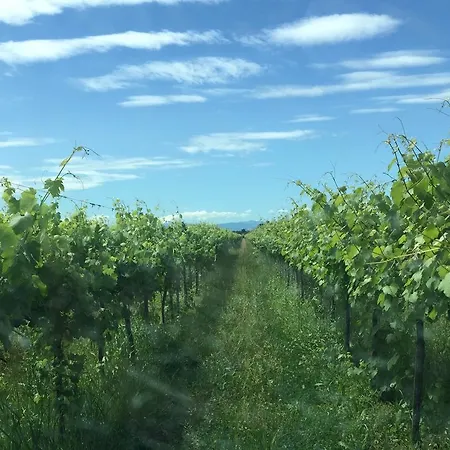 Le Vigne Della Duchessa Country